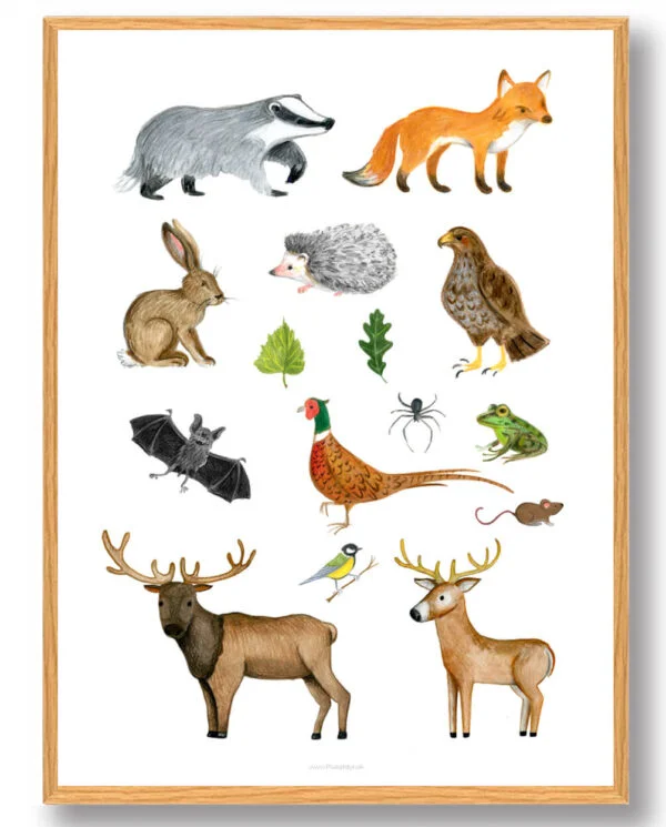 Skovens dyr - håndtegnet plakat (Størrelse: M - 30x40cm)