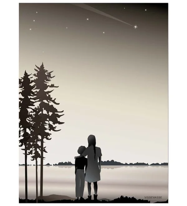 Vissevasse Plakat - 50x70 - Friends